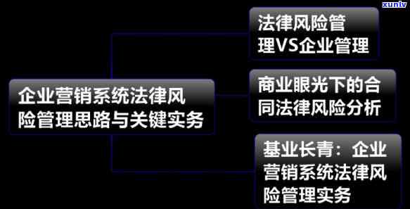 法务风险措有哪些，全面解析：法务风险措的关键性及实策略