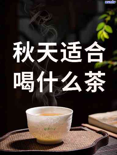 秋天燥热喝什么茶好，秋天干燥，喝什么茶？这里有答案！