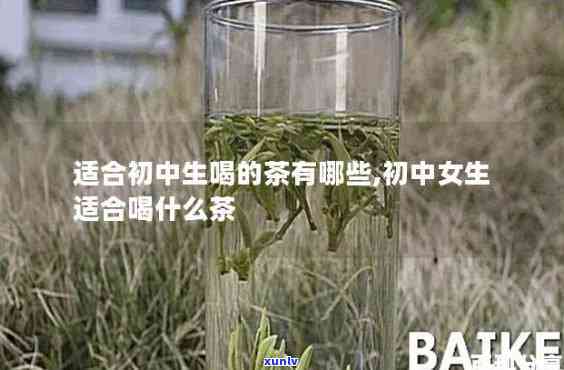 初中生喝什么茶对身体好？科学选择与饮用 *** 解析