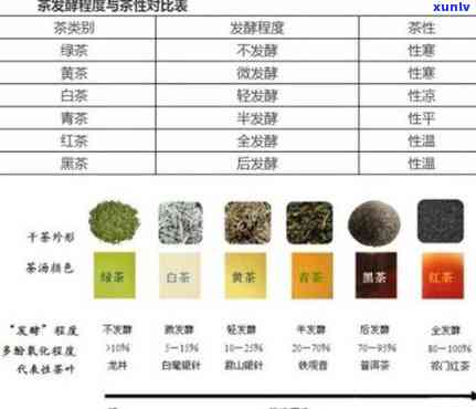 半发酵的茶是什么茶？详解其种类与特点