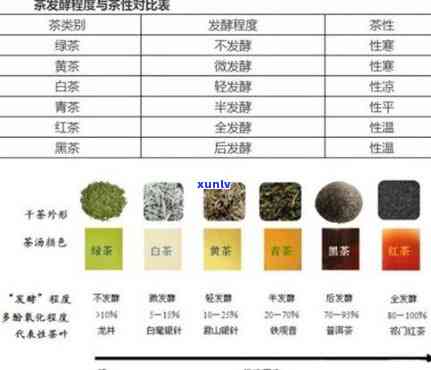 半发酵的茶是什么茶类？详解其特点与种类