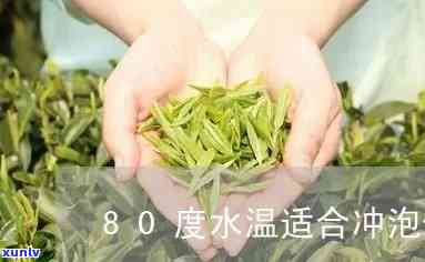 80度适合泡什么茶好，寻找口感！80度水最适合泡什么茶？