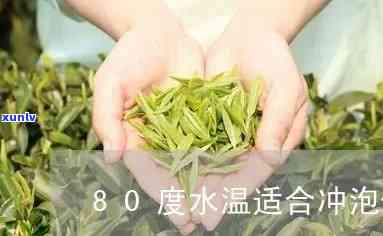 80度的水泡什么茶？最适合的茶叶推荐！