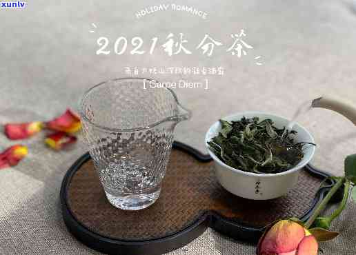 80度适合泡什么茶-80度适合泡什么茶喝