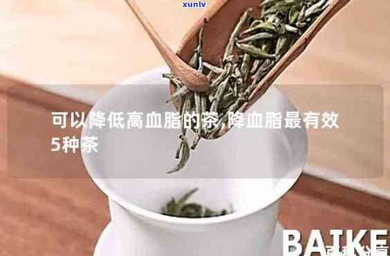 什么茶能有效降低血压血脂？哪种茶最适合饮用？