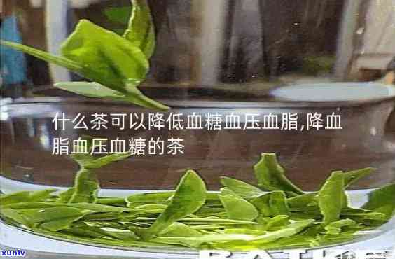 什么茶降血脂和血压，揭秘：哪些茶叶能有效降低血脂和血压？