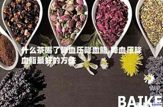 什么茶喝了能降血脂血压？科普三大有效饮品