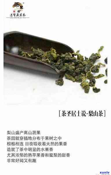 梨山茶：红茶or绿茶？揭开其真正身份