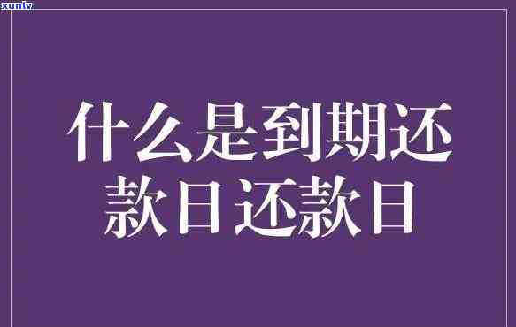 什么是约好还款期限的规定？详解其含义与特性