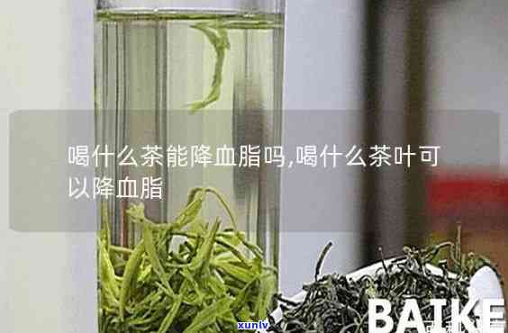 什么茶通血管降血脂-什么茶通血管降血脂