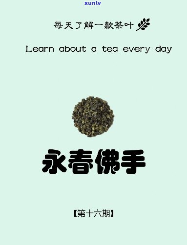 佛手茶：它属于哪种茶类？