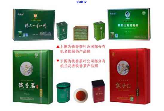 善茶上品质是什么茶类，探秘善茶上品质：揭示其独特的茶类魅力