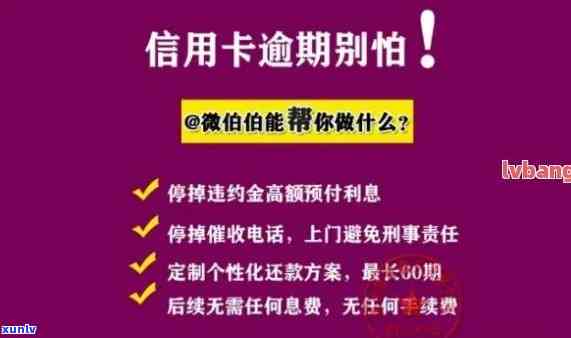 逾期利息规定：详细解读与计算  