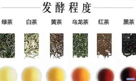 什么茶属于发酵茶类？绿茶、乌龙茶、红茶皆在其列！