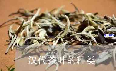 汉朝的茶都是什么茶啊，揭秘汉朝时期的茶叶种类