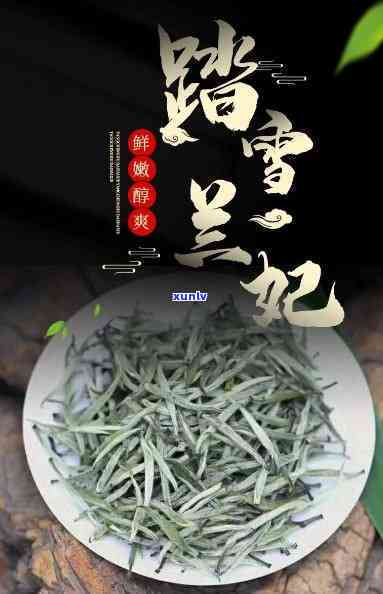 踏雪兰妃茶是什么茶多少钱，探秘高端品质，踏雪兰妃茶：一品其香，一探其价