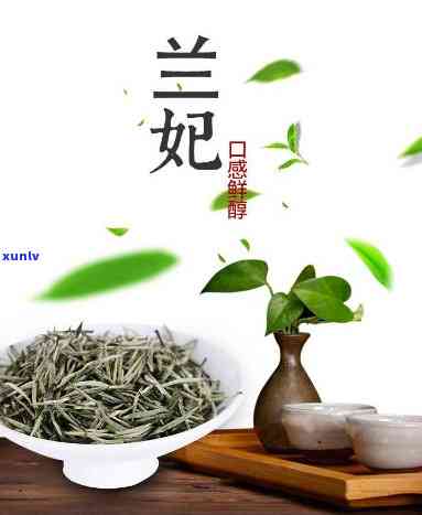 踏雪兰妃是什么茶，探秘神秘的茶叶——踏雪兰妃是什么茶？