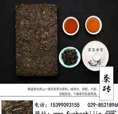 西安茯茶正宗，探寻西安茯茶的正宗源头，品味千年古韵