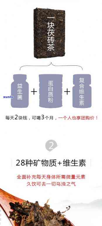 吉普号小青柑一品和润元哪个好？价格对比解析