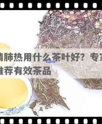 清肺热的茶是什么茶叶？详解其原料及功效