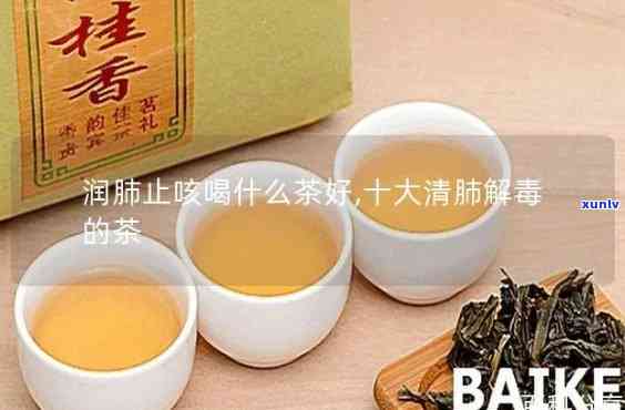 清肺热的茶，排养颜，喝什么茶？清肺热的茶推荐！