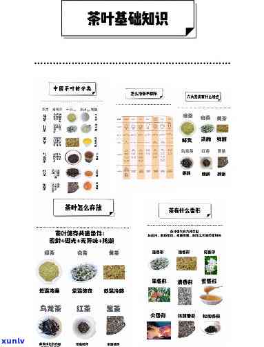 有点甜的是什么茶叶？探究口感甜蜜的茶叶与品种