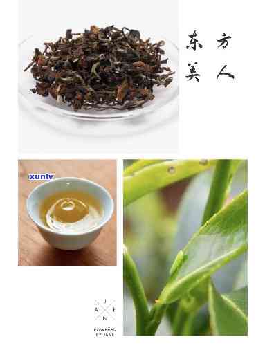 东方美人属于什么茶，东方美人，独具特色的乌龙茶