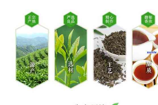 高山炒茶芯是什么茶叶，「高山炒茶芯」是什么茶叶？一次深入了解！