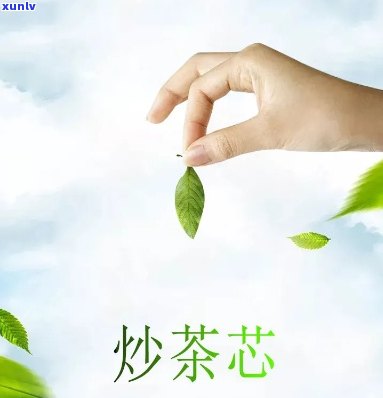 高山炒茶芯是什么茶叶，「高山炒茶芯」是什么茶叶？一次深入了解！