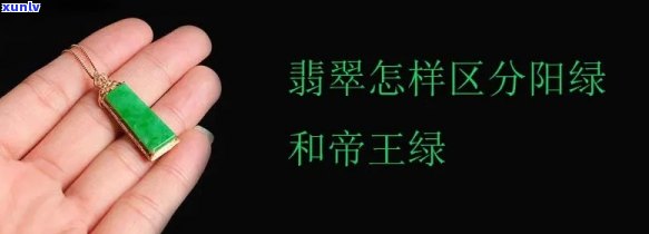 帝王绿是阳绿吗？探究其与阴绿的区别及优劣