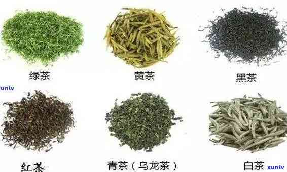 探寻勐海老班章茶厂官网：品尝经典普洱，感受茶文化的魅力