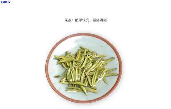 翠峰茶：什么茶种？详细解释