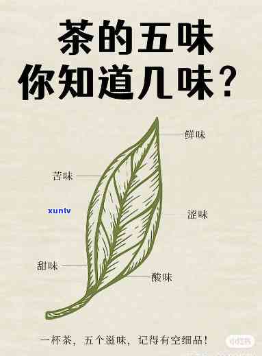 什么茶叶入口特别甜，探寻口中甜的秘密：揭秘哪些茶叶口感醇厚甜美