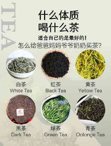 长辈喝什么茶比较好一点，为长辈选择饮品：探讨哪种茶叶更适合他们饮用？