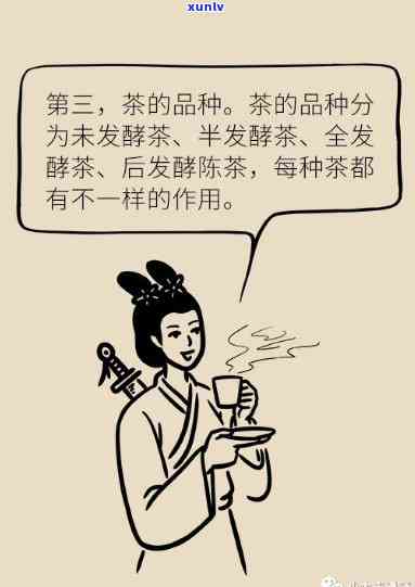 掉发喝什么茶比较好-掉发应该喝什么茶