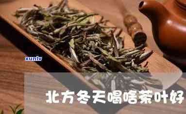 东北冬天喝什么茶比较好，寒冬来袭，揭秘东北人冬更爱的暖胃茶饮