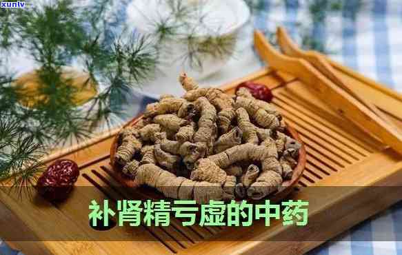 肾精亏虚喝什么茶好-肾精亏虚喝什么茶好呢