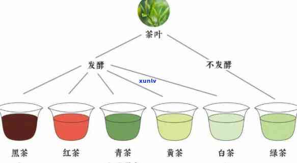 什么是后发酵茶水？详解其种类与 ***  *** 