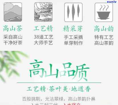 高山流水是什么茶，探秘茶叶世界：高山流水是什么茶？