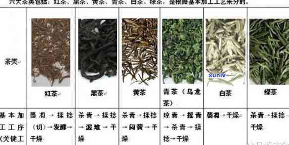 入口甜的茶叶叫什么茶，揭秘入口甜的茶叶种类，你最喜欢哪一种？