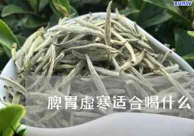 冬天脾胃虚寒者适合饮用什么茶？全解