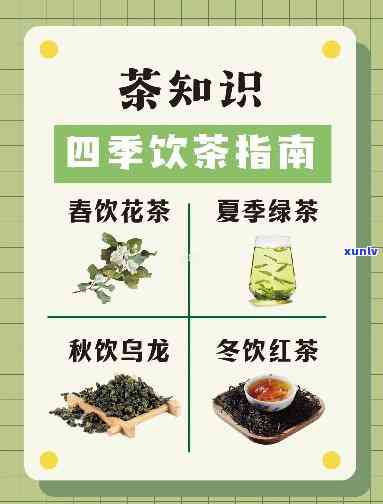 四都饮什么茶？从春到冬的选择