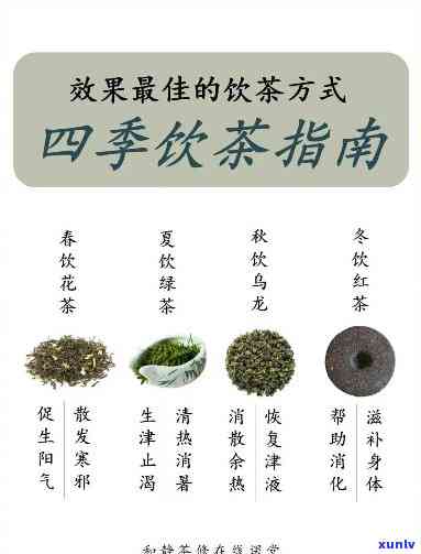 四都饮什么茶？从春到冬的选择