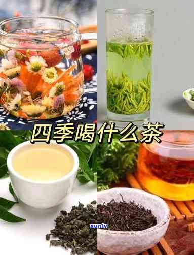 大益芙蓉圆茶好喝吗？知乎用户分享口感体验与图片评测