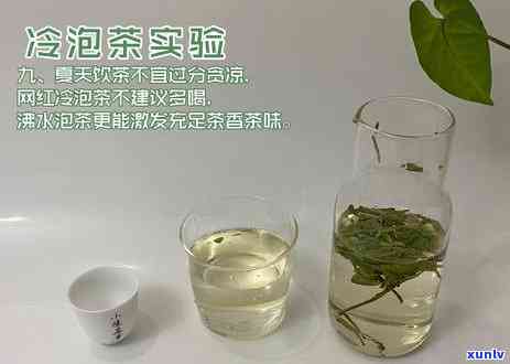 什么茶适合蒸茶和煮茶？煮茶常用茶推荐与搭配建议