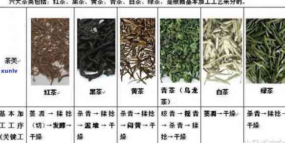 什么茶没有兴奋作用呢？常见茶叶种类解析与图片展示