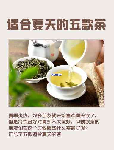 什么茶，日解暑良品，哪种茶叶最适合？