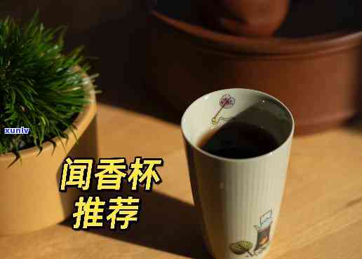 闻香杯泡什么茶才用-闻香杯泡什么茶才用的多