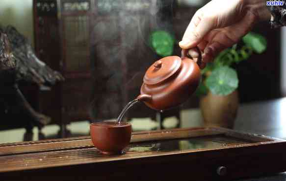 什么茶壶喝茶，寻找品茗体验：探讨什么茶壶最适合泡茶