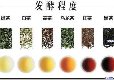 云南滇红茶：一种独特的红茶品类，究竟属于哪种茶类？